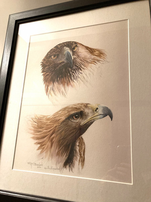 Watercolor with two royal eagle heads signed Philippe Varnardois