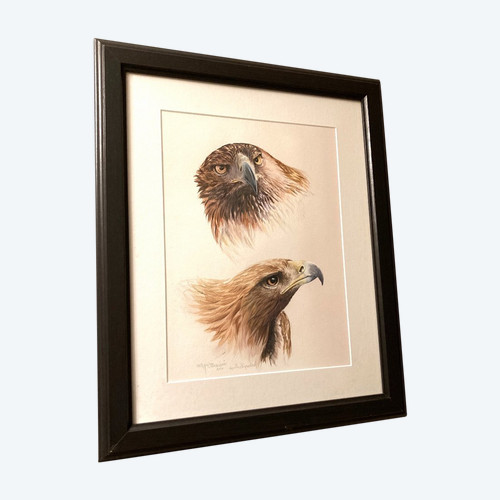 Watercolor with two royal eagle heads signed Philippe Varnardois