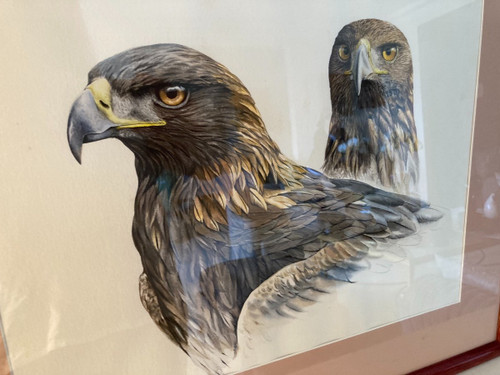 Watercolor with Two Royal Eagle Heads Signed Philippe Varnardois