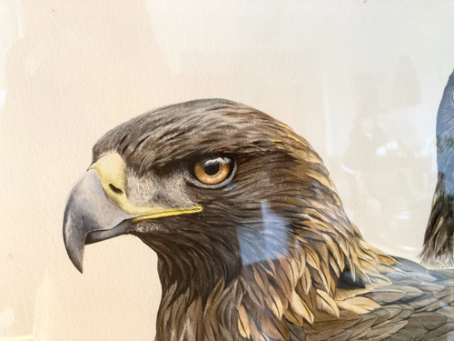 Watercolor with Two Royal Eagle Heads Signed Philippe Varnardois