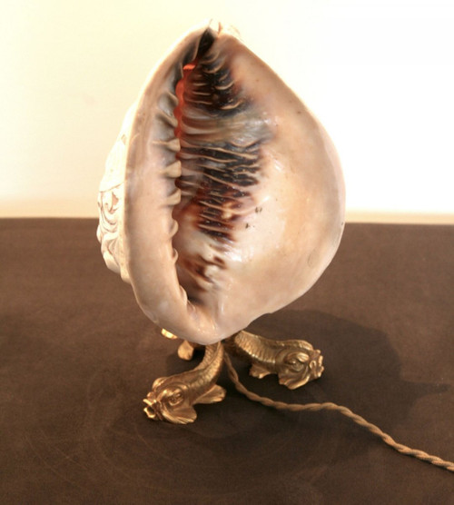 Shell lamp, Cameo style on bronze feet, 19th century style