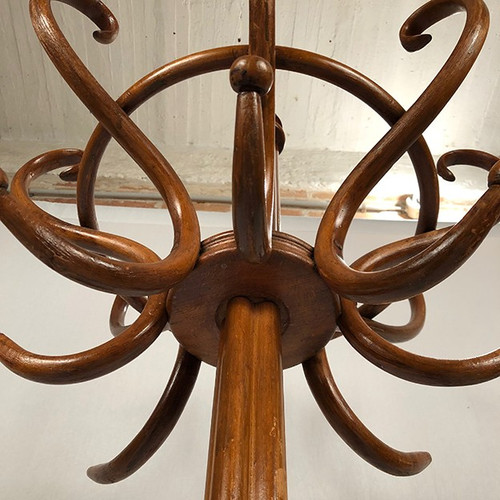 Parrot coat rack, curved wood, art nouveau period (Jacob & Josef Kohn?)