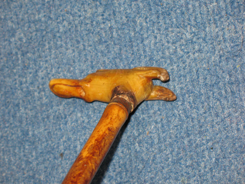 Cane with knob in the shape of a greyhound dog's head, late 19th century