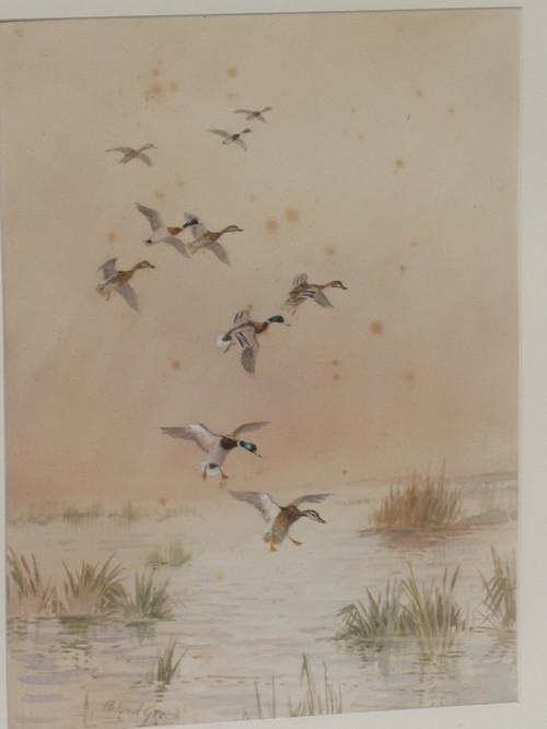 Watercolor signed by Roland Green ducks in the marshes, 20th century