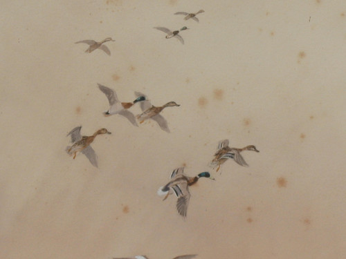 Watercolor signed by Roland Green ducks in the marshes, 20th century