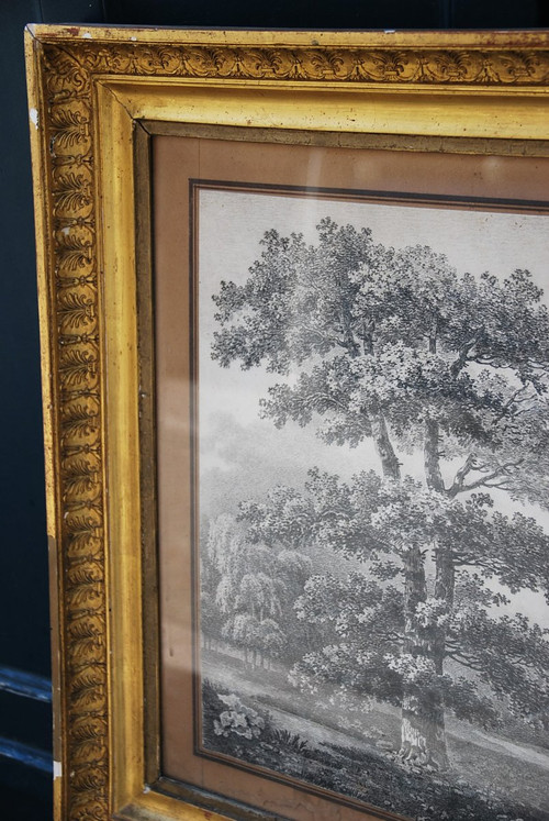 Large Drawing Landscape And Trees Signed By Wartel, 19th Century Empire Period