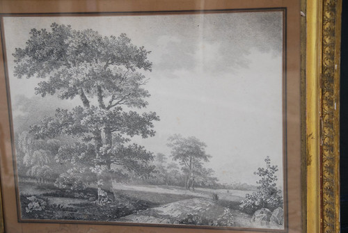 Large Drawing Landscape And Trees Signed By Wartel, 19th Century Empire Period