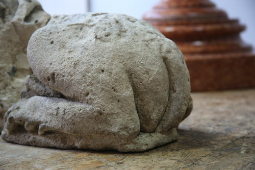 Lion sculpté en pierre calcaire, XVème siècle.