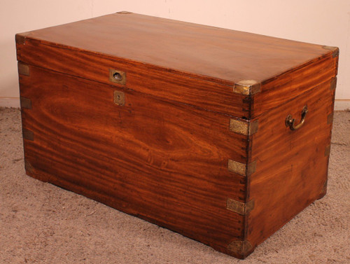 Large Marine Chest In Camphor Wood From The 19th Century