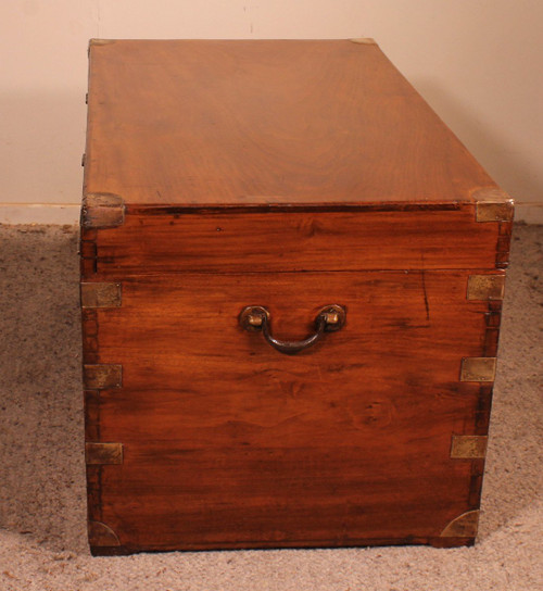 Large Marine Chest In Camphor Wood From The 19th Century