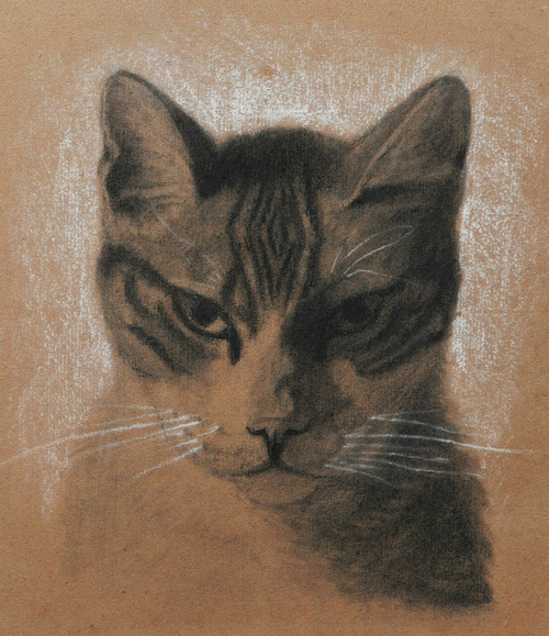 Attributed to Jules LAURENS, Head of a cat