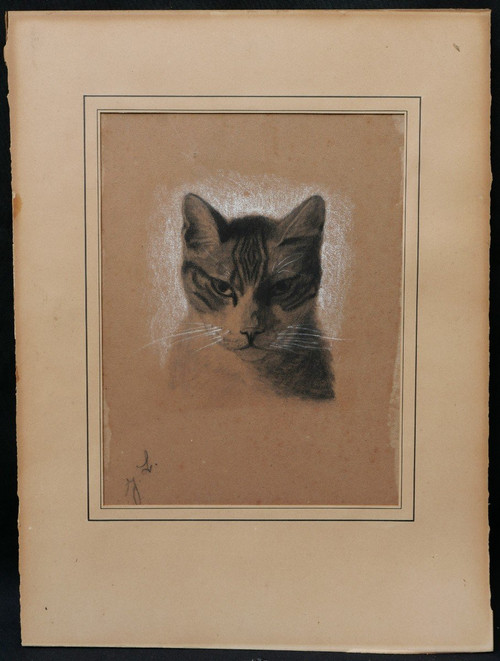 Attributed to Jules LAURENS, Head of a cat