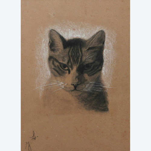 Attributed to Jules LAURENS, Head of a cat