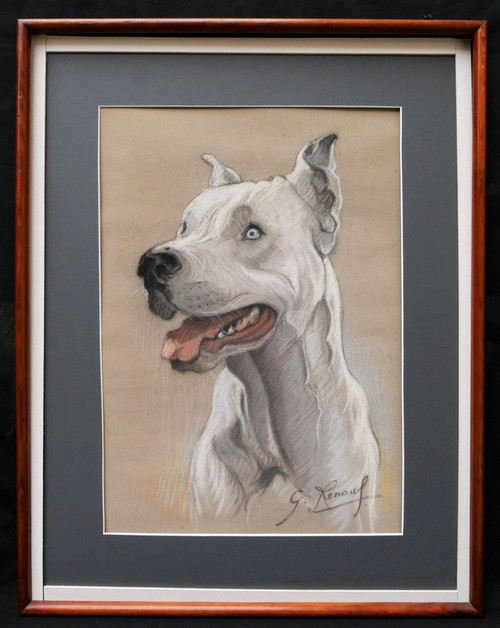 FRENCH SCHOOL circa 1930, Portrait of a blue-eyed Argentine mastiff