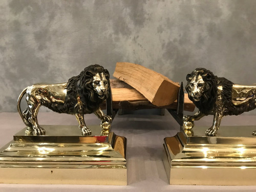 Pair Of Antique Bronze Andirons From The 19th Century Model With Lions