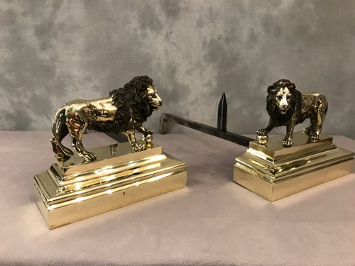 Pair Of Antique Bronze Andirons From The 19th Century Model With Lions