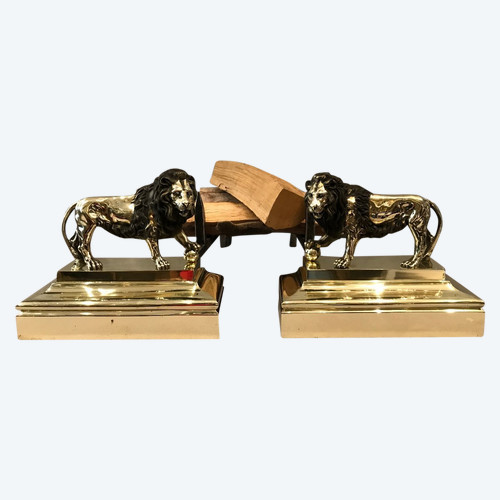 Pair Of Antique Bronze Andirons From The 19th Century Model With Lions