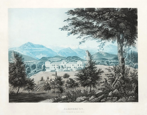  Albisbrunn Canton Of Zürich Switzerland Mountain Landscape Engraving 19th