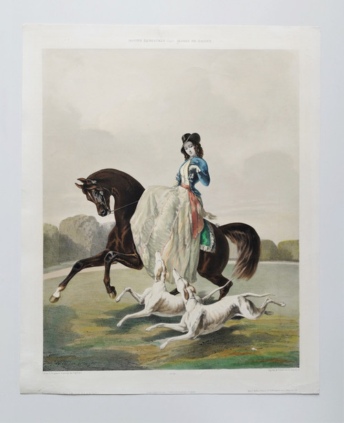 Horse Amazon And Greyhounds After Alfred De Dreux Lithography By Z.gingembre 19th C