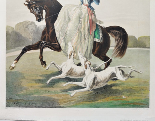 Horse Amazon And Greyhounds After Alfred De Dreux Lithography By Z.gingembre 19th C