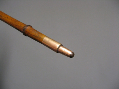 Cane With Handle Representing A Lion's Head.