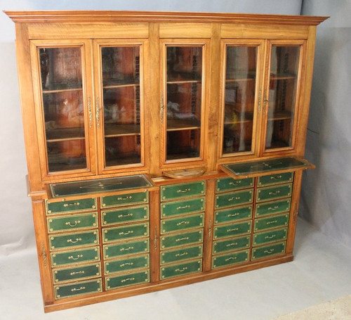 Important 19th Century Mahogany Cartonnier Library