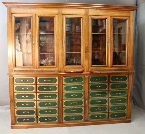 Important 19th Century Mahogany Cartonnier Library