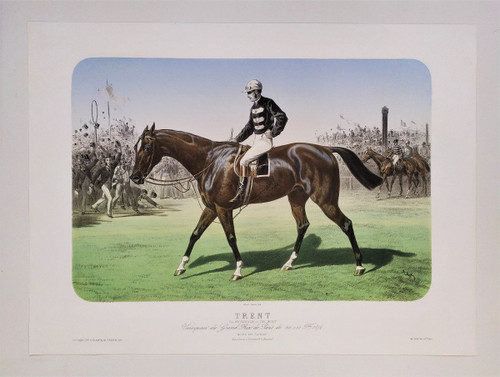 Horse 19th C. Lithograph Albert Adam By Broomielaw, The Mersy old print