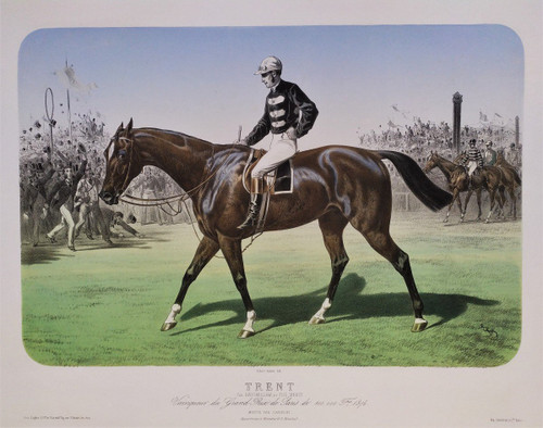 Horse 19th C. Lithograph Albert Adam By Broomielaw, The Mersy old print