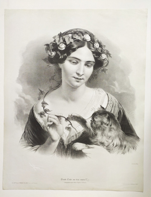 Portrait of a Lady With Cat Lithograph By Julien 19th c Old Print