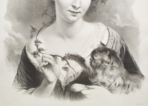 Portrait of a Lady With Cat Lithograph By Julien 19th c Old Print