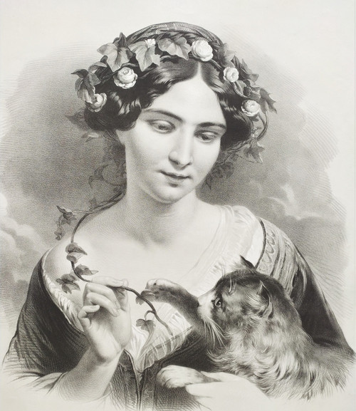 Portrait of a Lady With Cat Lithograph By Julien 19th c Old Print