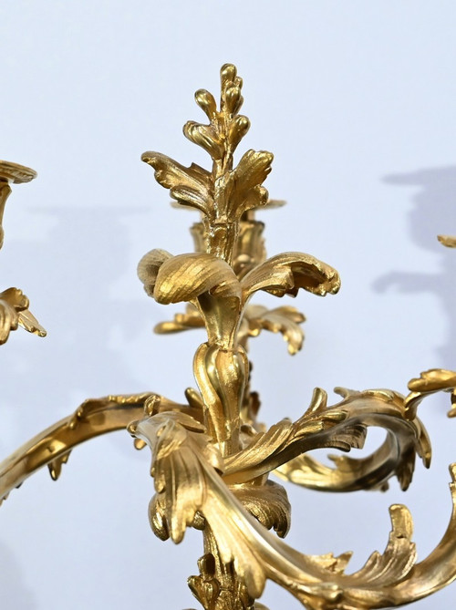 Pair of Gilt Bronze Candelabra, Louis XV style – Late 19th century