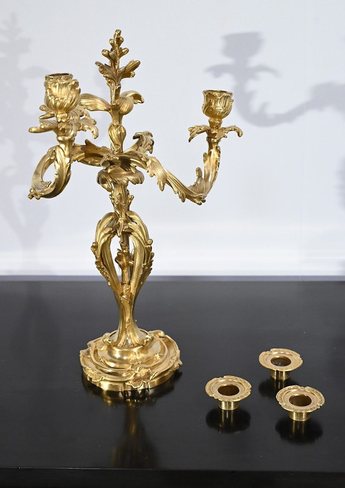 Pair of Gilt Bronze Candelabra, Louis XV style – Late 19th century