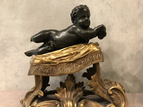 Antique gilded and patinated bronze andirons from the 19th century