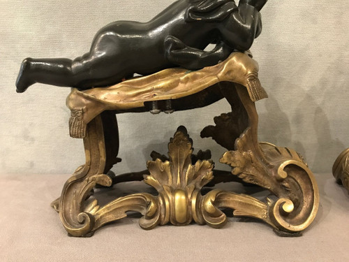 Antique gilded and patinated bronze andirons from the 19th century