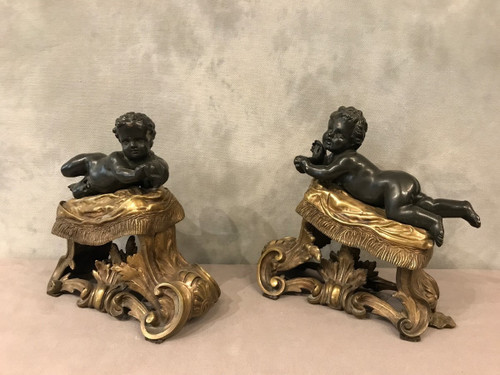 Antique gilded and patinated bronze andirons from the 19th century