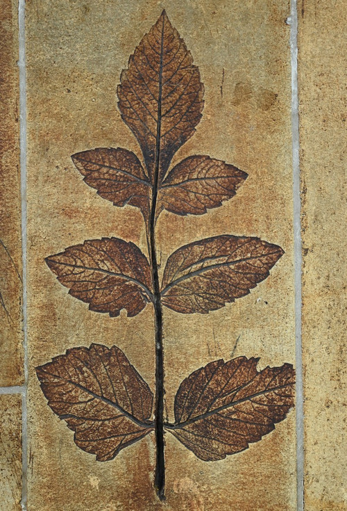 Table Basse en Grès de Vallauris, signée R.Capron, Collection « Les Herbiers » – 1960