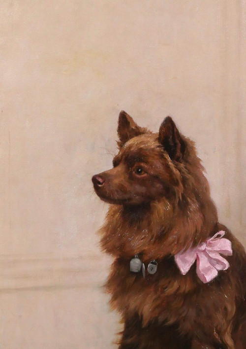 Georges Frédéric Rötig 1873-1961 Cane spitz con nastro rosa, dipinto, 1906