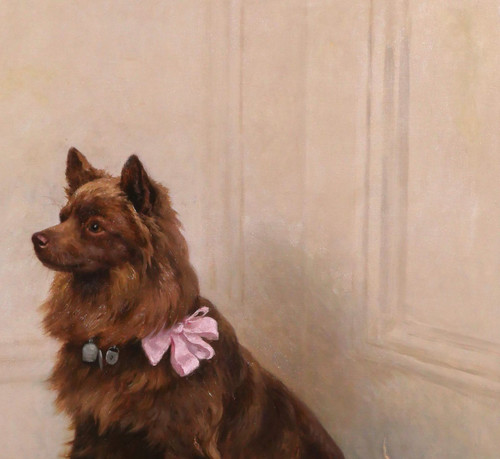 Georges Frédéric Rötig 1873-1961 Cane spitz con nastro rosa, dipinto, 1906