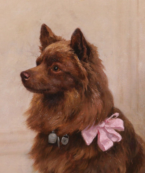 Georges Frédéric Rötig 1873-1961 Cane spitz con nastro rosa, dipinto, 1906