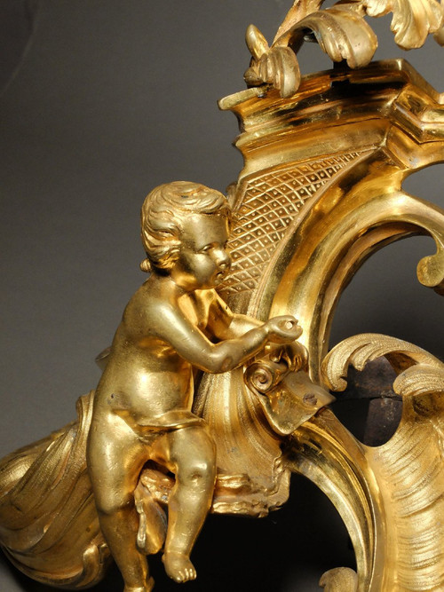 Pair of allegorical andirons from the Louis XV period