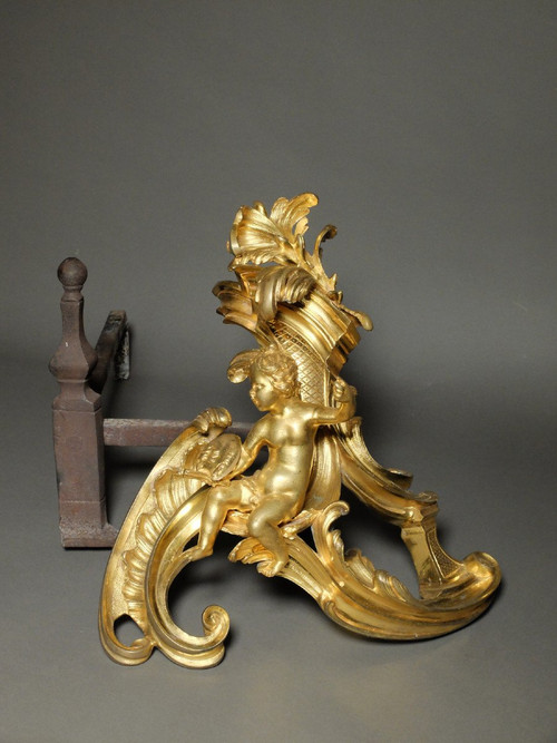 Pair of allegorical andirons from the Louis XV period