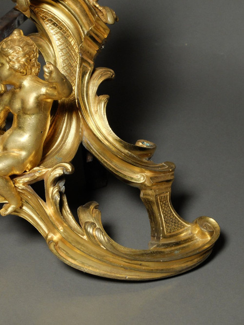 Pair of allegorical andirons from the Louis XV period