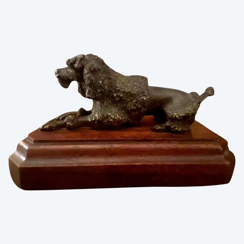 Royal poodle in patinated bronze on a precious wood base with lioness hairstyle Sulfide eyes 19th century