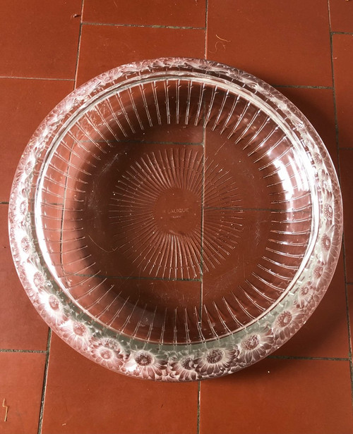 Coppa René Lalique “Daisy” in cristallo modellato