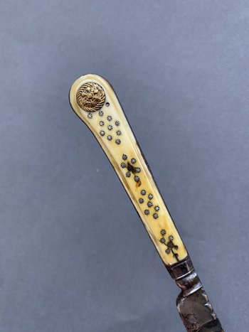 Elegante COLTELLO PIEGHEVOLE di Huillier Lama dritta in acciaio con un bordo, appoggio caratteristico