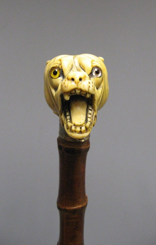 Dog head cane.