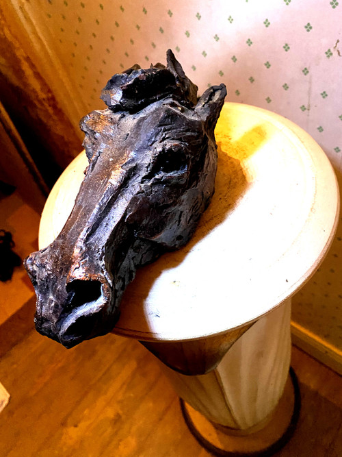 Horse head in expressive tinted terracotta signed by Raider Catrubuten from the 60s/70s