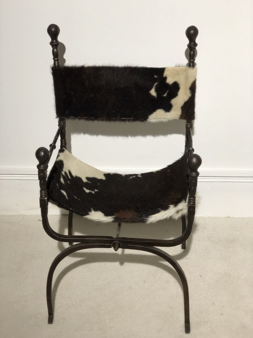 19th Century Curule Armchair In Wrought Iron